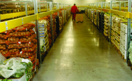 Different types of food stored in a warehouse Different types of food stored in a warehouse