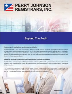 Beyond The Audit Beyond The Audit