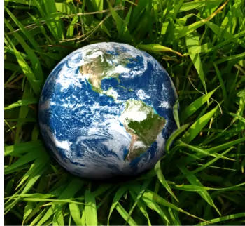 World globe nestled in green grass